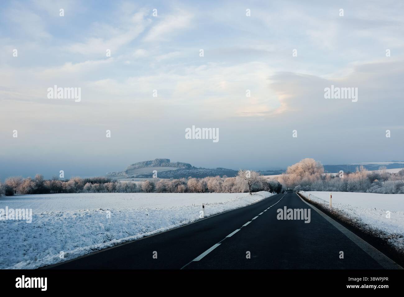 Leere Landstraße, die durch schneebedeckte Felder und frostige Bäume mit Hügeln im Hintergrund unter einem pastellfarbenen Himmel führt. Stockfoto