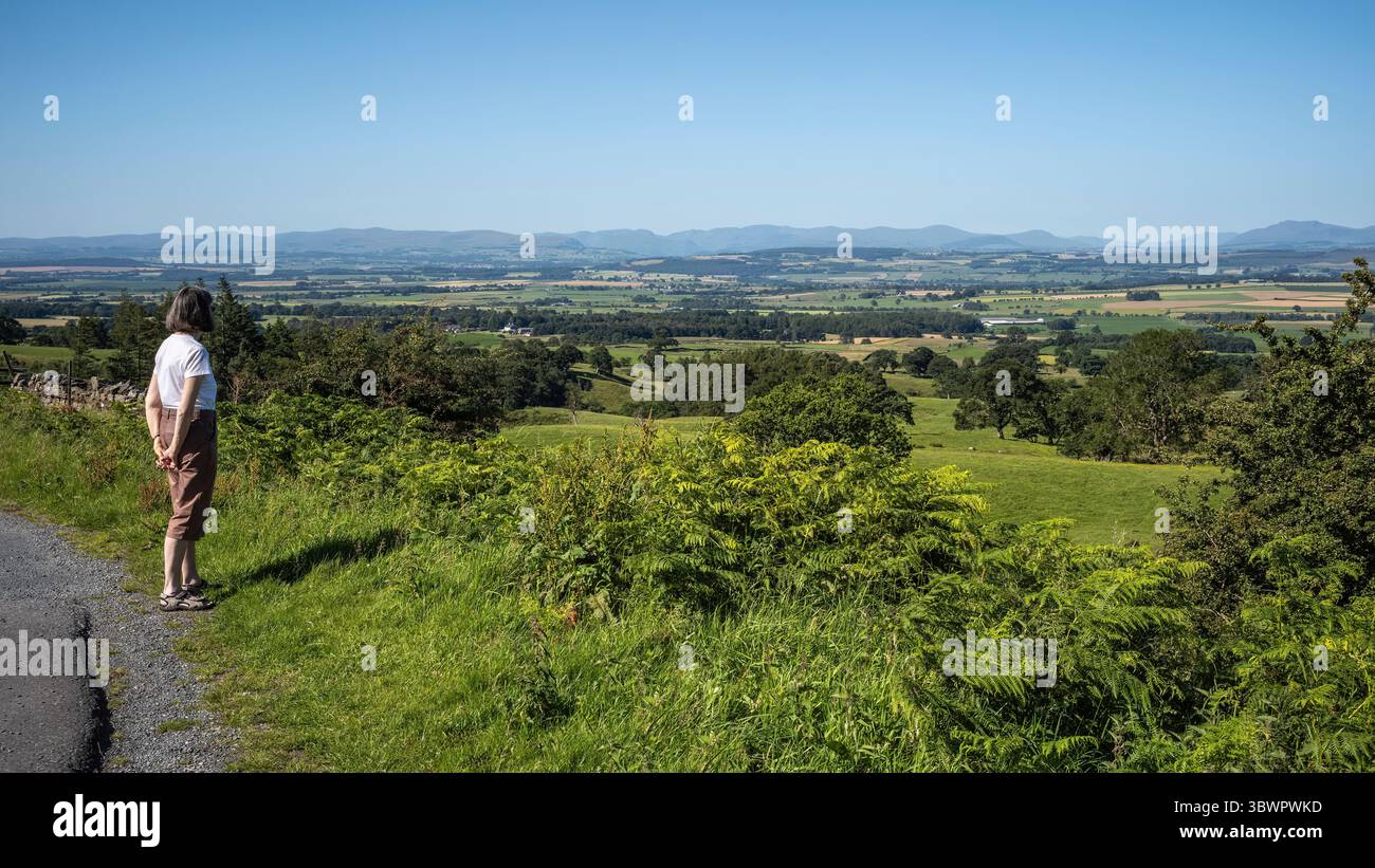 Das fruchtbare Eden Valley zwischen den Northern Pennine und Lakeland Hills, A686 zwischen Melmerby und Alston, Cumbria, Großbritannien Stockfoto