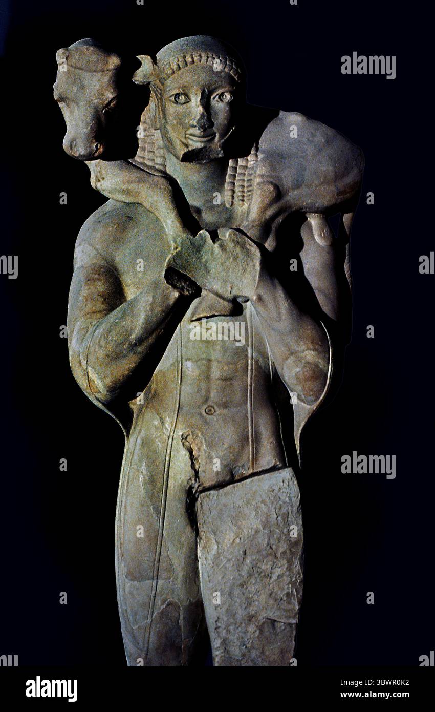 Moschophoros antike griechische Statue aus der archaischen Zeit, auf Englisch auch als Kalbträger bekannt. Sie wurde 1864 in Fragmenten in der Perserschutt auf der Akropolis von Athen ausgegraben. 560 v. Chr. und schätzungsweise 1,65 Meter (5,4 ft) Akropolis Museum in Athen, Griechenland. Stockfoto