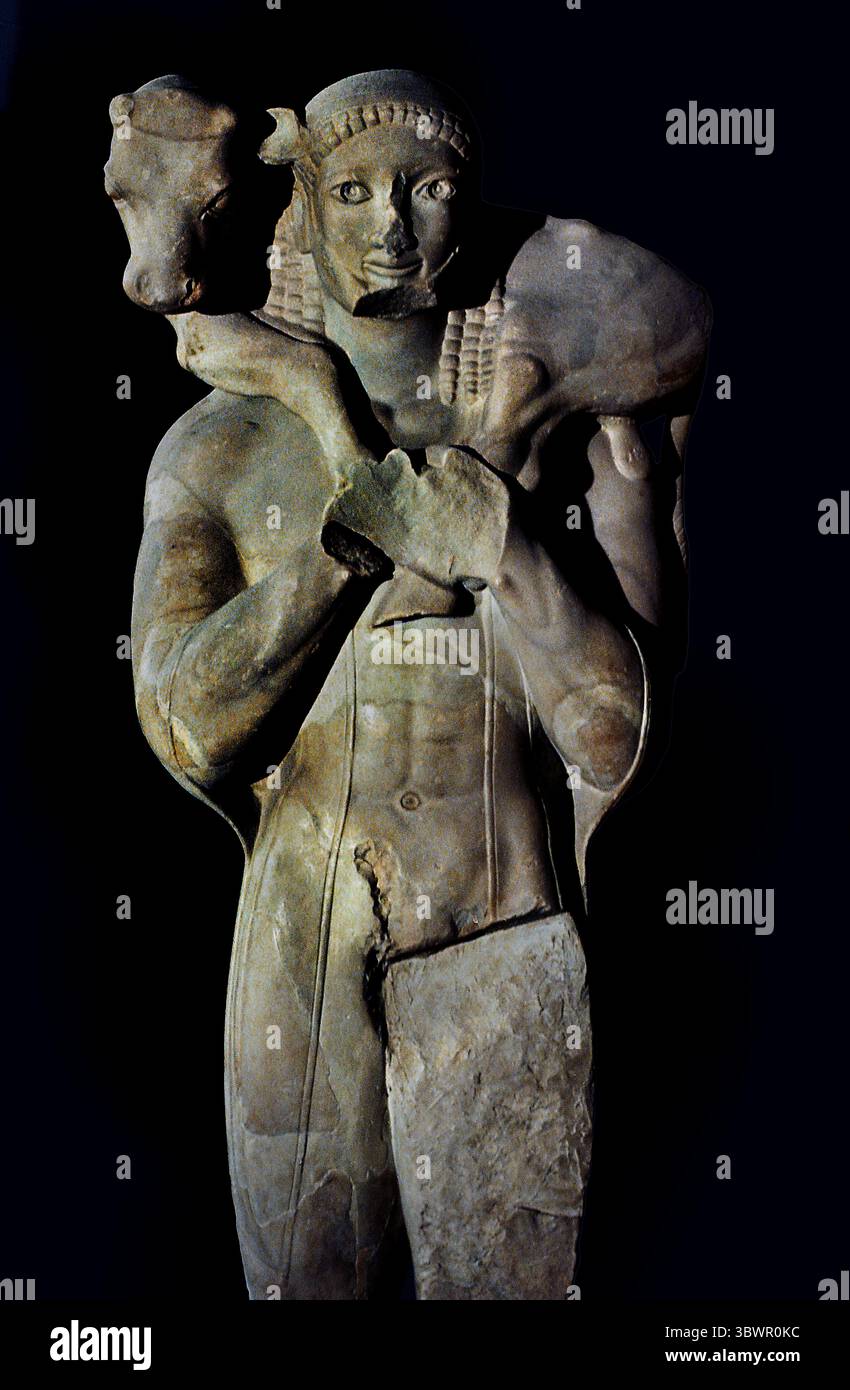 Moschophoros antike griechische Statue aus der archaischen Zeit, auf Englisch auch als Kalbträger bekannt. Sie wurde 1864 in Fragmenten in der Perserschutt auf der Akropolis von Athen ausgegraben. 560 v. Chr. und schätzungsweise 1,65 Meter (5,4 ft) Akropolis Museum in Athen, Griechenland. Stockfoto