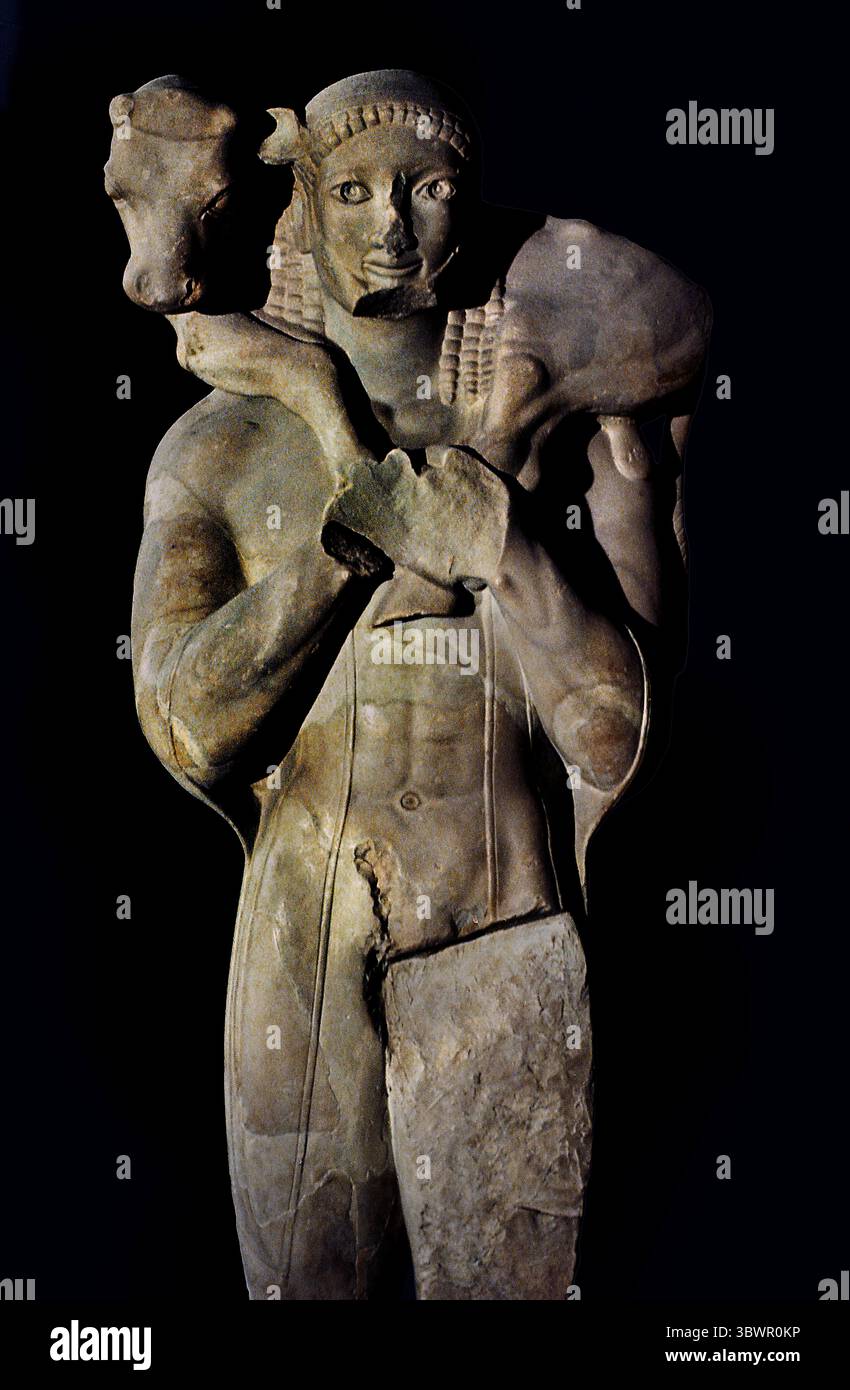 Moschophoros antike griechische Statue aus der archaischen Zeit, auf Englisch auch als Kalbträger bekannt. Sie wurde 1864 in Fragmenten in der Perserschutt auf der Akropolis von Athen ausgegraben. 560 v. Chr. und schätzungsweise 1,65 Meter (5,4 ft) Akropolis Museum in Athen, Griechenland. Stockfoto