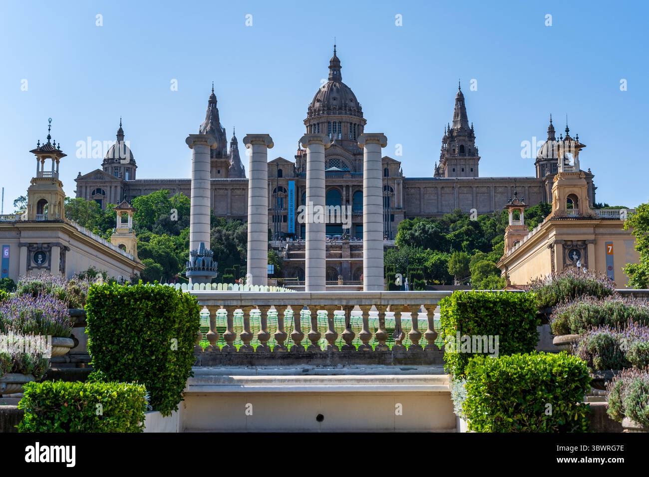 Museu Nacional d'Art de Catalunya in Jardins de Joan Maragall im Stadtteil Sants-Montjuic von Barcelona in der spanischen Region Katalonien Stockfoto