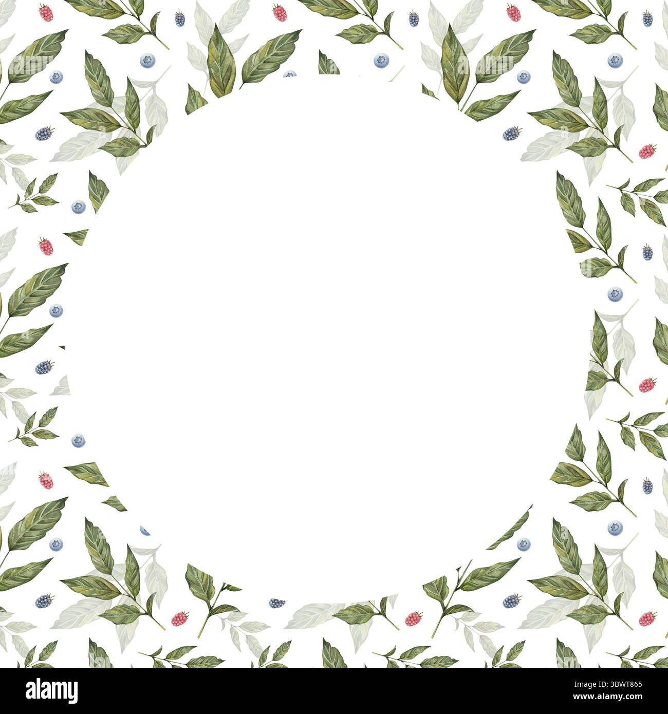 Aquarellvorlage Kaffeeblätter, Heidelbeere und Himbeerzweige. Handgemaltes botanisches Design auf weißem Hintergrund. Perfekt für Drucke, Textilien, Küchendekor und Einladungen. Stockfoto