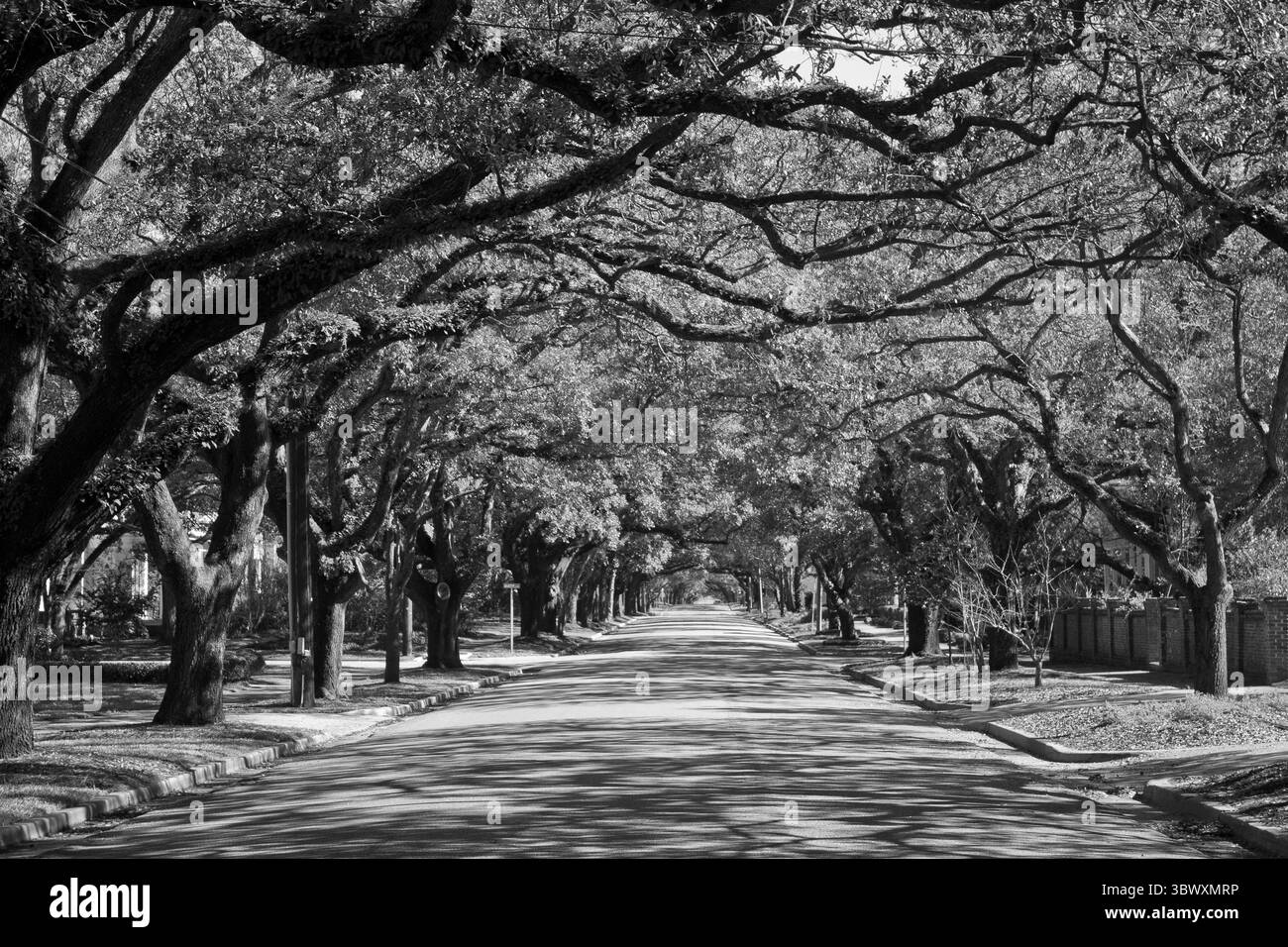 Schwarzweiß-Fotografie in South Carolina Stockfoto