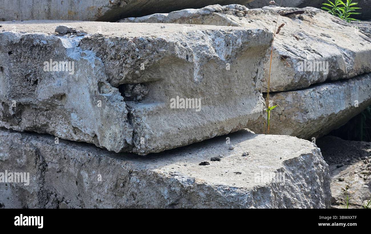 Verlassene Betonblöcke in verwachsener Industrieanlage - Smartphone-aufgenommenes Stockfoto