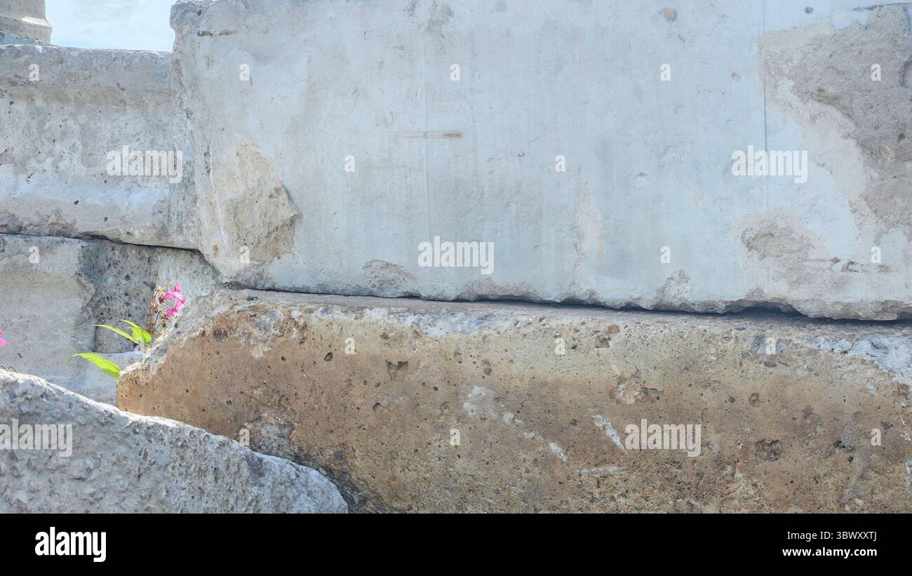 Verlassene Betonblöcke in verwachsener Industrieanlage - Smartphone-aufgenommenes Stockfoto