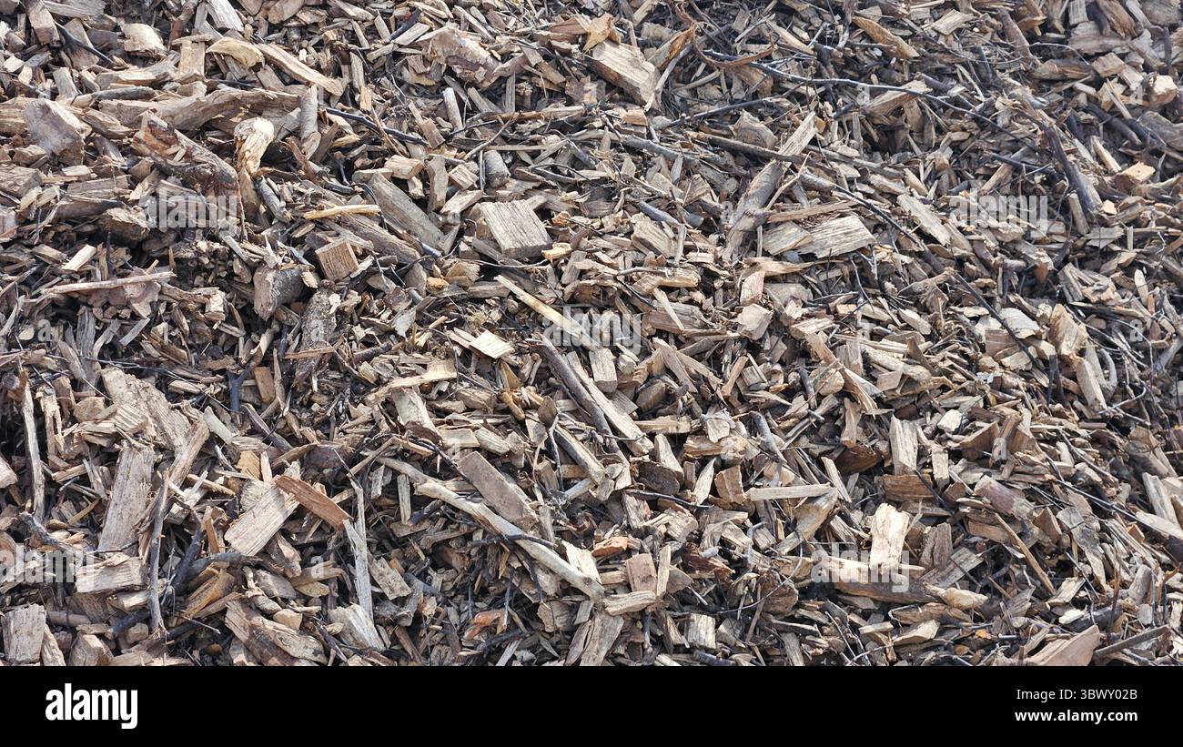 Holzspäne Mulch Textur – Natürlicher Hintergrund Der Bodenabdeckung - Smartphone-aufgenommenes Stockfoto