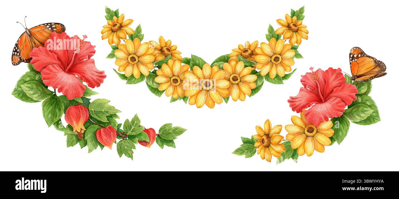 Sommerweites Set aus Monarchschmetterling- und Hibiskusblüten. Handgezeichnetes Aquarellkunstwerk mit Blumenmotiven für tropische Feiertage. Hell Stockfoto