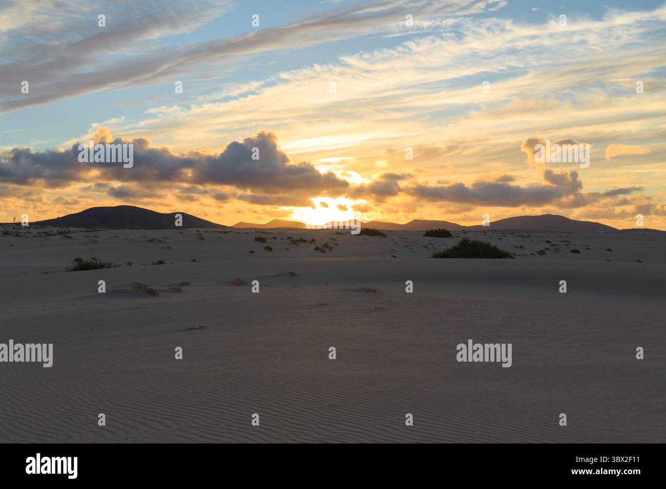 Ein atemberaubender Sonnenuntergang wirft warme Farben über weite Sanddünen. Weiche Wolken treiben am Himmel, während die Sonne in Ruhe unter dem Horizont untergeht. Stockfoto