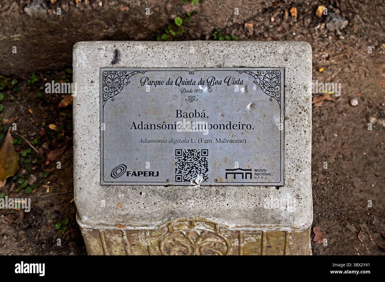 RIO DE JANEIRO, BRASILIEN - 15. Juli 2025: 2024: Typenschild mit gebräuchlichen und wissenschaftlichen Namen Stockfoto