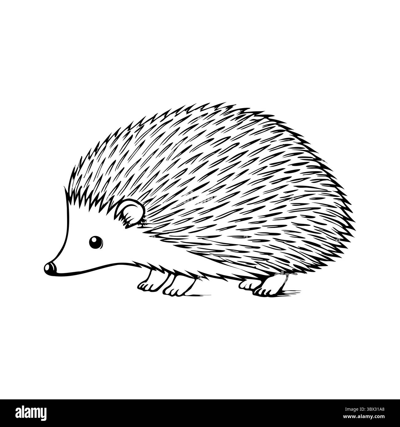Ein süßer Igel mit stacheligem Fell und einer kleinen Nase. Das Tier wird in einem einfachen, schwarz-weißen Linienstil dargestellt. Stock Vektor