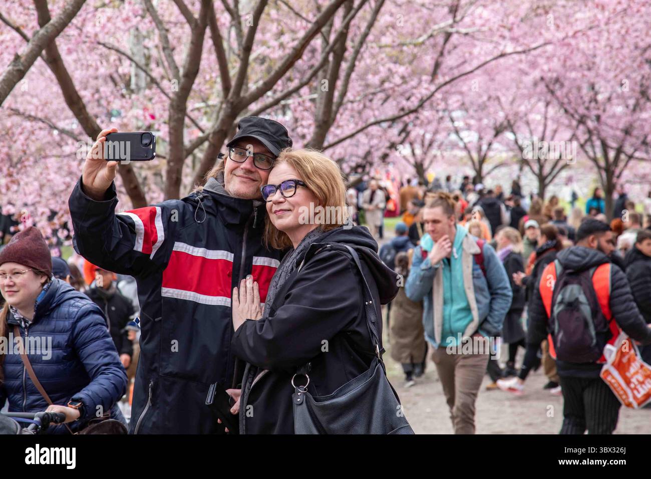 Ein Paar nimmt Selfie beim Roihuvuori Hanami Kirschblütenfest im Roihuvuori-Bezirk in Helsinki, Finnland Stockfoto