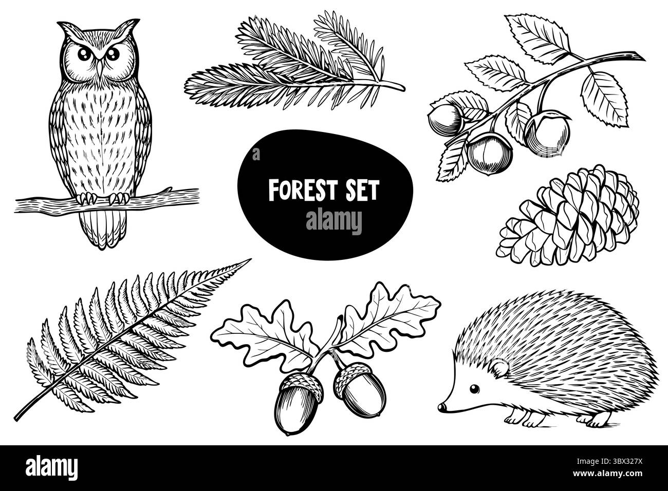 Eine Sammlung von Waldelementen, darunter eine Eule, Farn, Eicheln, Kiefernzapfen und ein Igel. Die Abbildungen sind in Schwarz-weiß gehalten und zeigen die Natur Stock Vektor