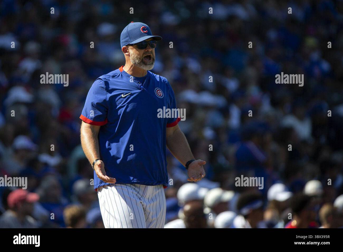 22. August 2021: Cubs-Manager David Ross streitet einen Anruf während des fünften Inning eines Spiels gegen die Royals am Sonntag im Wrigley Field. Die Cubs verloren mit 9:1 und stellten mit ihrer 13. Heimniederlage in Folge einen Franchise-Rekord auf. (Kreditbild: © Erin Hooley/TNS via ZUMA Press Wire/TNS via ZUMA Press Wire) Stockfoto