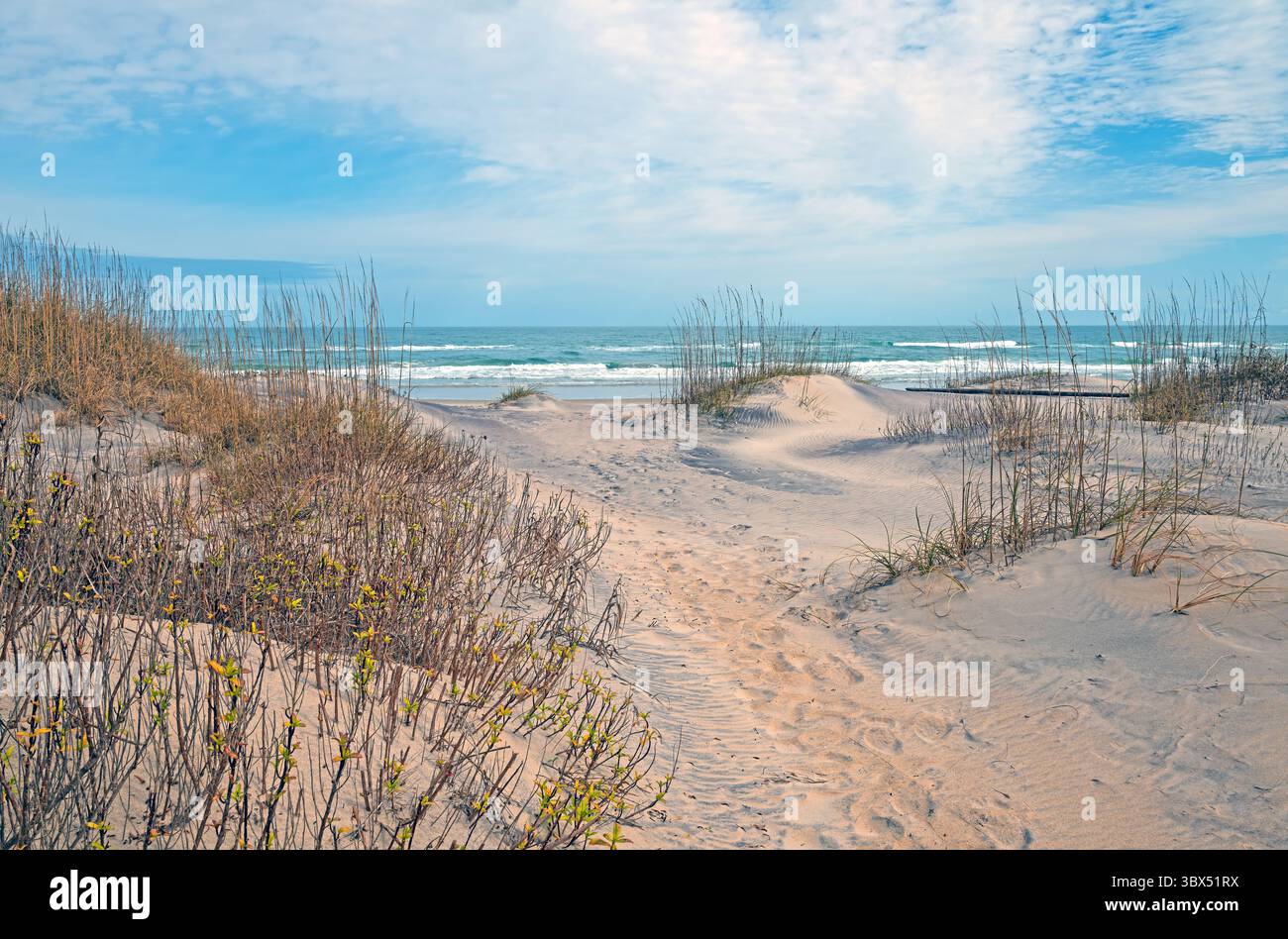 Meerblick über Grassy Dunes in den Outer Banks in North Carolina Stockfoto
