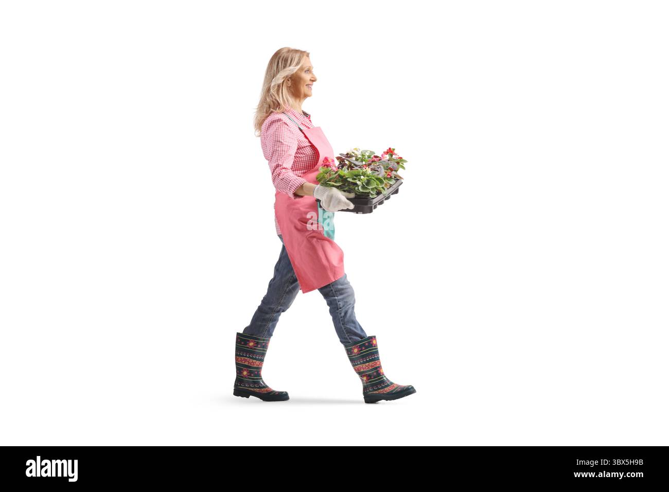 Gärtnerin, die mit einem Tablett mit Blumen auf weißem Hintergrund läuft Stockfoto
