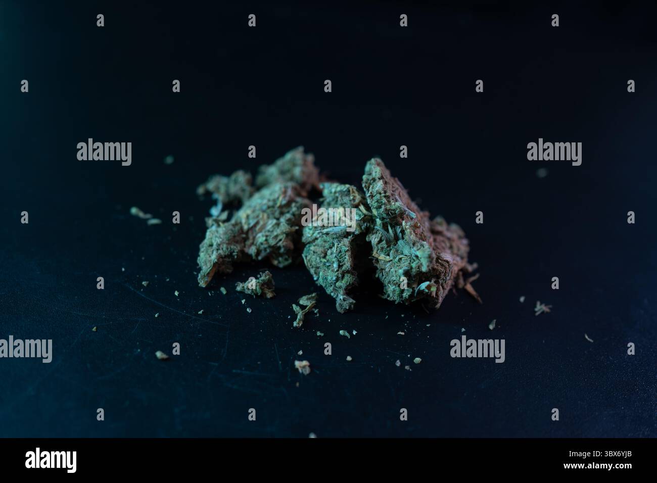 Cannabis nug auf dunkler Oberfläche, beleuchtet durch farbiges Licht, das seine Textur und Farbe hervorhebt. Der Schwerpunkt liegt auf den komplizierten Details des Pflanzenmaterials. Selektiver Fokus Stockfoto