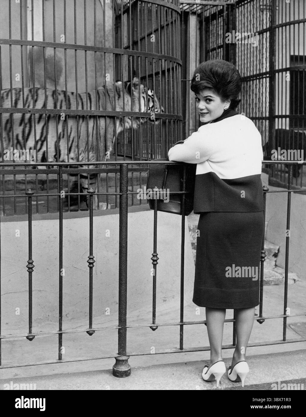 Januar 2011 - CONNIE FRANCIS IM ZOO VON MAILAND IN ITALIEN 1962.# 2805.BEREITGESTELLT VON PHOTOS, INC. (Kreditbild: © Globe photos/ZUMAPRESS.com) NUR ZUR REDAKTIONELLEN VERWENDUNG! Nicht für kommerzielle ZWECKE! Stockfoto