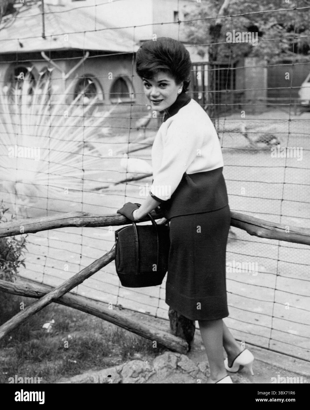 Januar 2011 - CONNIE FRANCIS IM ZOO VON MAILAND IN ITALIEN 1962.# 2805.BEREITGESTELLT VON PHOTOS, INC. (Kreditbild: © Globe photos/ZUMAPRESS.com) NUR ZUR REDAKTIONELLEN VERWENDUNG! Nicht für kommerzielle ZWECKE! Stockfoto