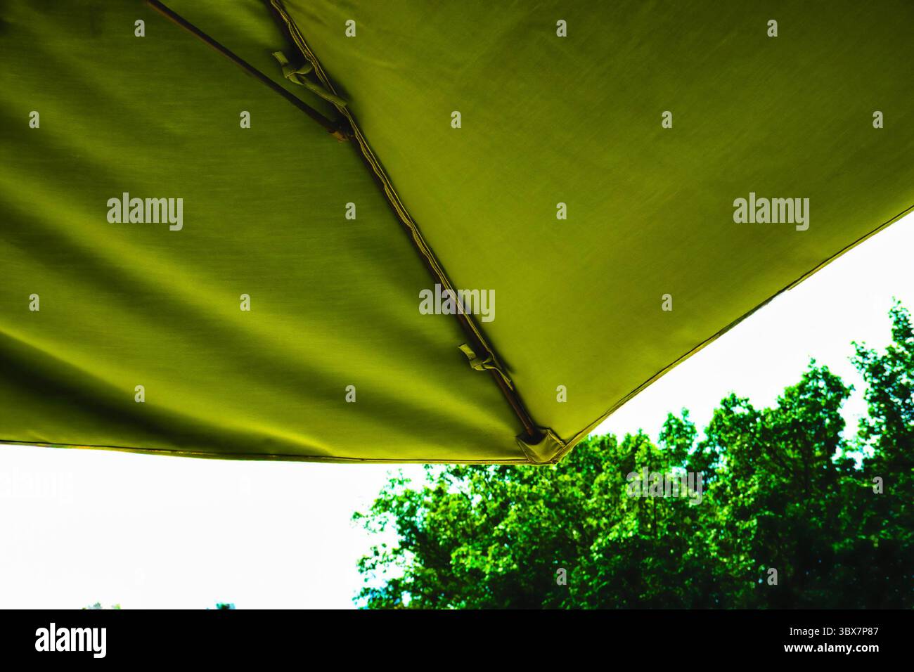 Grüner Schatten über einem Sonnenschirm auf der Terrasse Stockfoto
