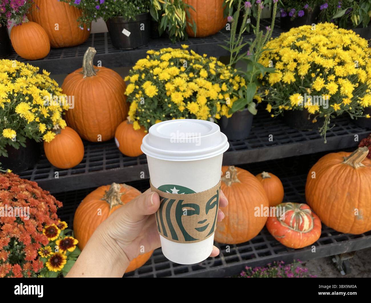 21. September 2021: Ein Kürbis-Gewürz-Latte von Reportern, gekauft bei einem Starbucks in Baltimore. Forscher sagen, dass die Attraktivität von mit Kürbisgewürzen gewürzten Artikeln weniger auf den Geschmack als auf den Geruch und seine Assoziationen zurückzuführen ist. (Bild: © Christina Tkacik/TNS via ZUMA Press Wire/TNS via ZUMA Press Wire) Stockfoto