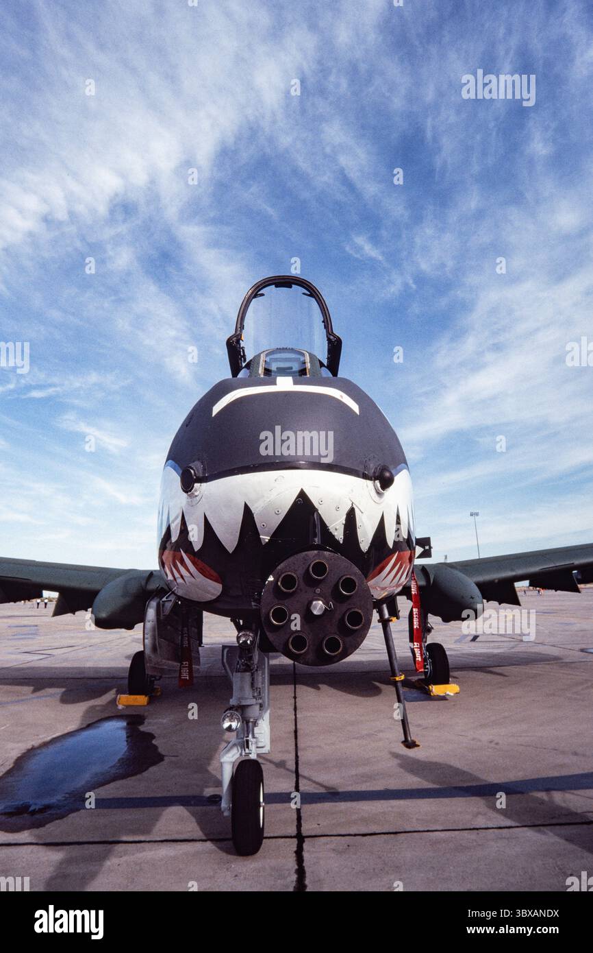 26. Februar 2021, Alamogordo, New Mexico, USA: Vorderansicht einer Fairchild Republic A-10 Thunderbolt II bei Holloman AFB, mit der 30-mm-GAU-Drehkanone in der Nase. (Kreditbild: © Jon G. Fuller/VW Pics via ZUMA Press Wire) Stockfoto