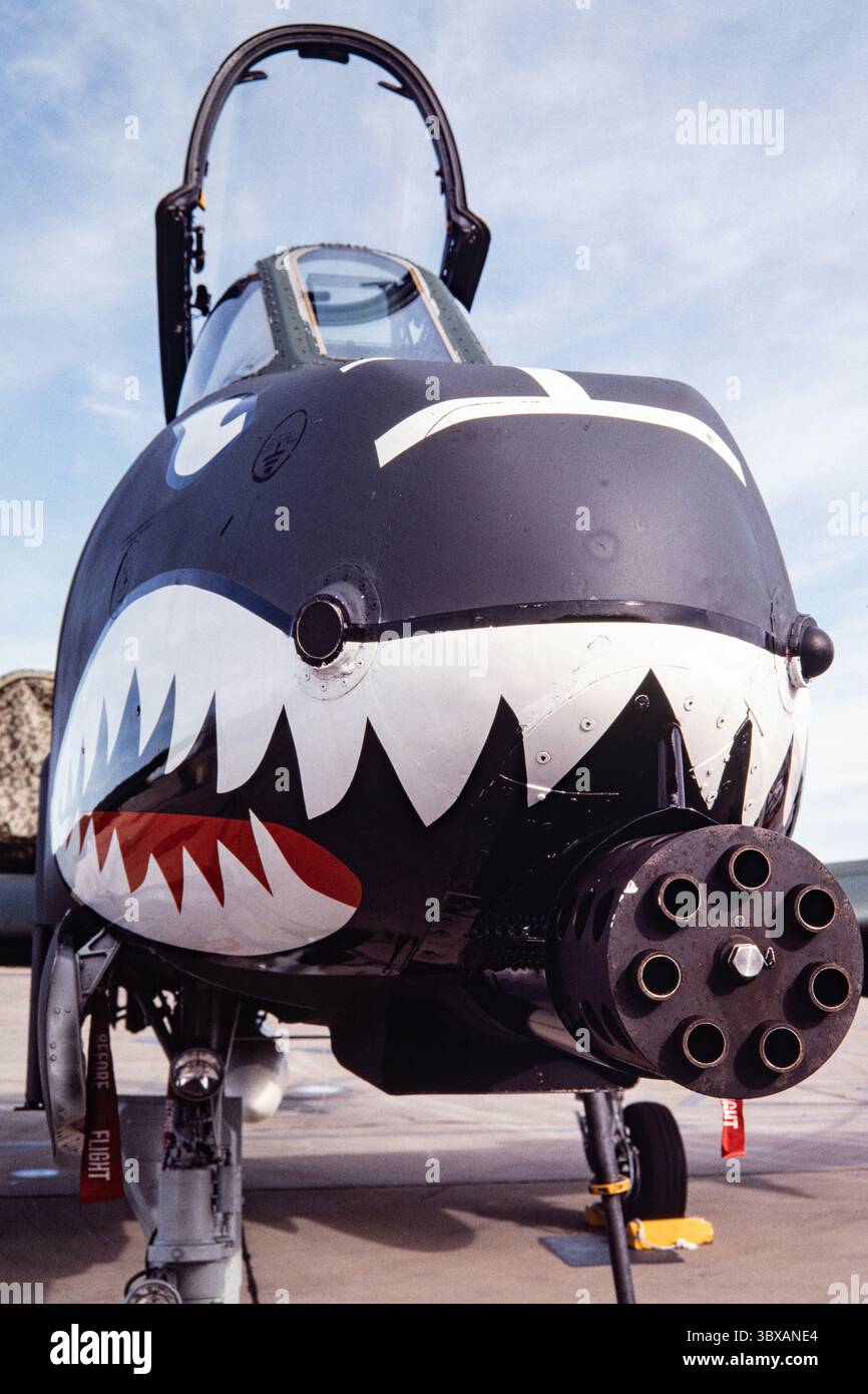 26. Februar 2021, Alamogordo, New Mexico, USA: Vorderansicht einer Fairchild Republic A-10 Thunderbolt II bei Holloman AFB, mit der 30-mm-GAU-Drehkanone in der Nase. (Kreditbild: © Jon G. Fuller/VW Pics via ZUMA Press Wire) Stockfoto