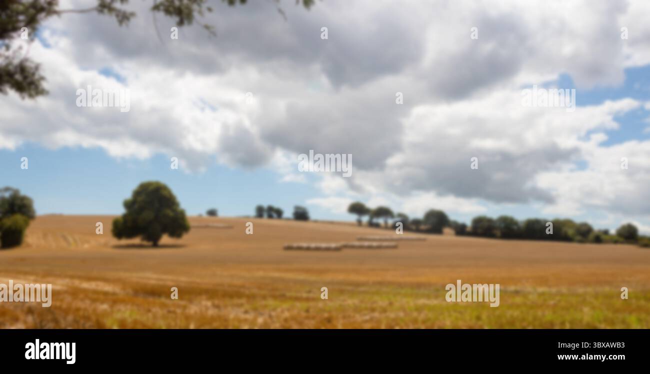 Ruhige Landschaft Stockfoto