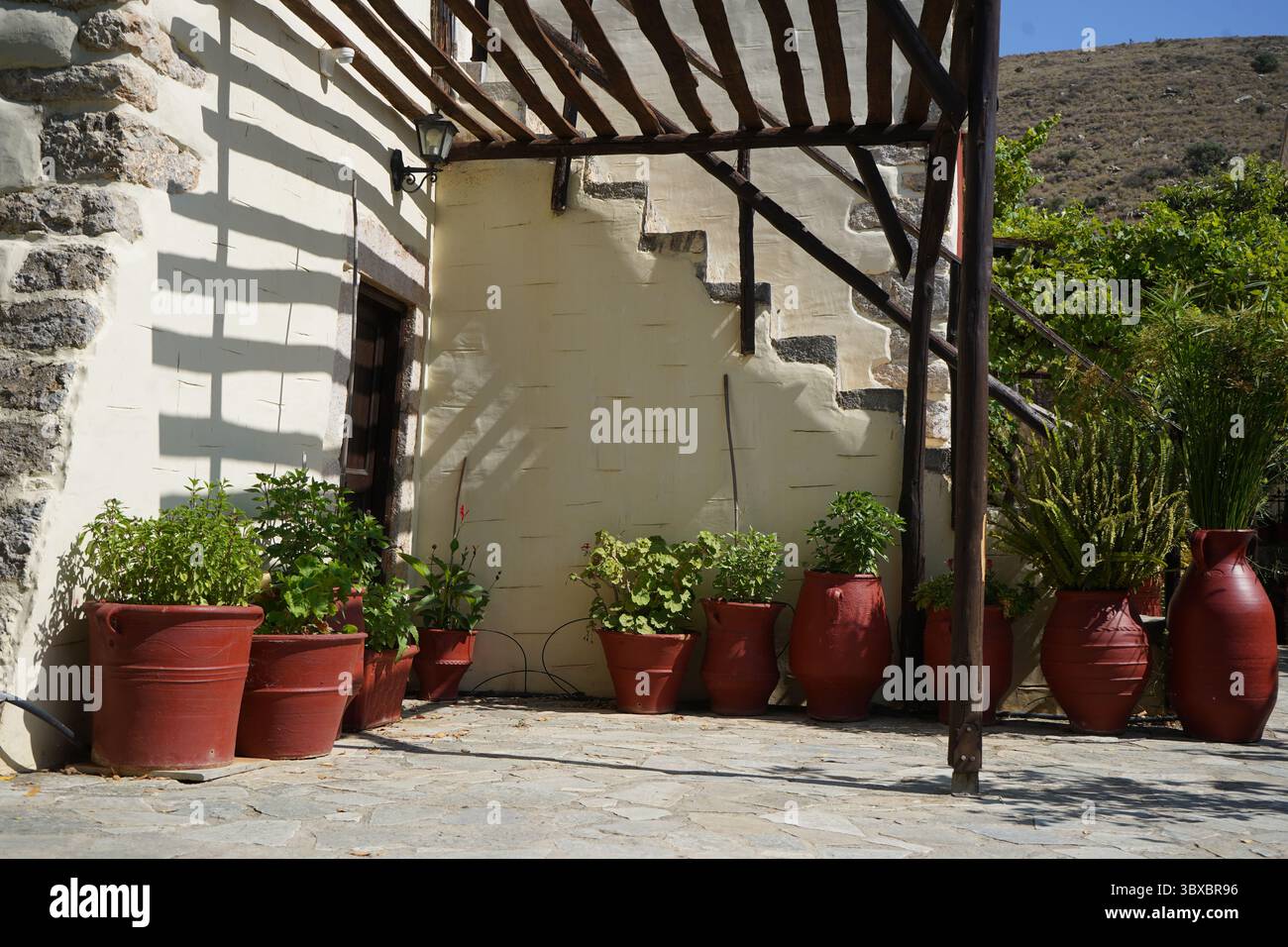 Kreta, Griechenland, 21. Juni 2024: Moni (Kloster) Kallergi: Eine Sammlung von roten Tontöpfen, die entlang einer Steinmauer angeordnet sind, beherbergt verschiedene Pflanzen und Blumen Stockfoto