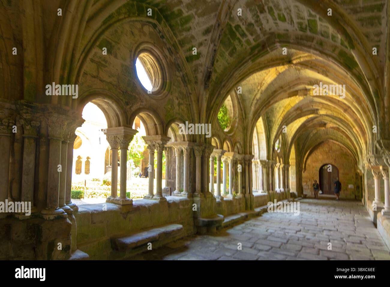 FRANKREICH. AUDE (11) KLOSTER DER ABBAYE SAINTE-MARIE DE FONTFROIDE ODER ABTEI FONTFROIDE BEI NARBONNE Stockfoto