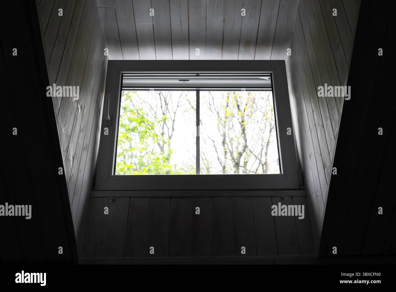Fenster mit Holzrahmen in gemütlicher Inneneinrichtung, die zu Waldgrün im Freien führen. Steht für Ruhe, Naturverbundenheit und Komfort Stockfoto