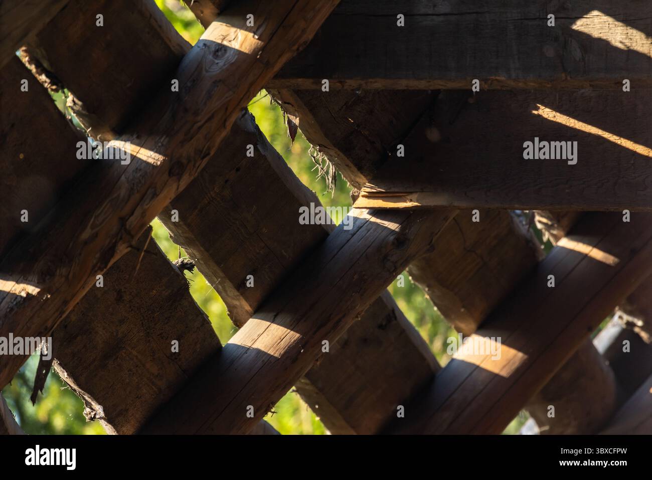 Rustikales Dachgitter aus Holz, das durch Sonnenlicht beleuchtet wird und komplizierte Schatten vor einem natürlichen Hintergrund wirft. Eine detaillierte Ansicht mit Holzstrukturen Stockfoto