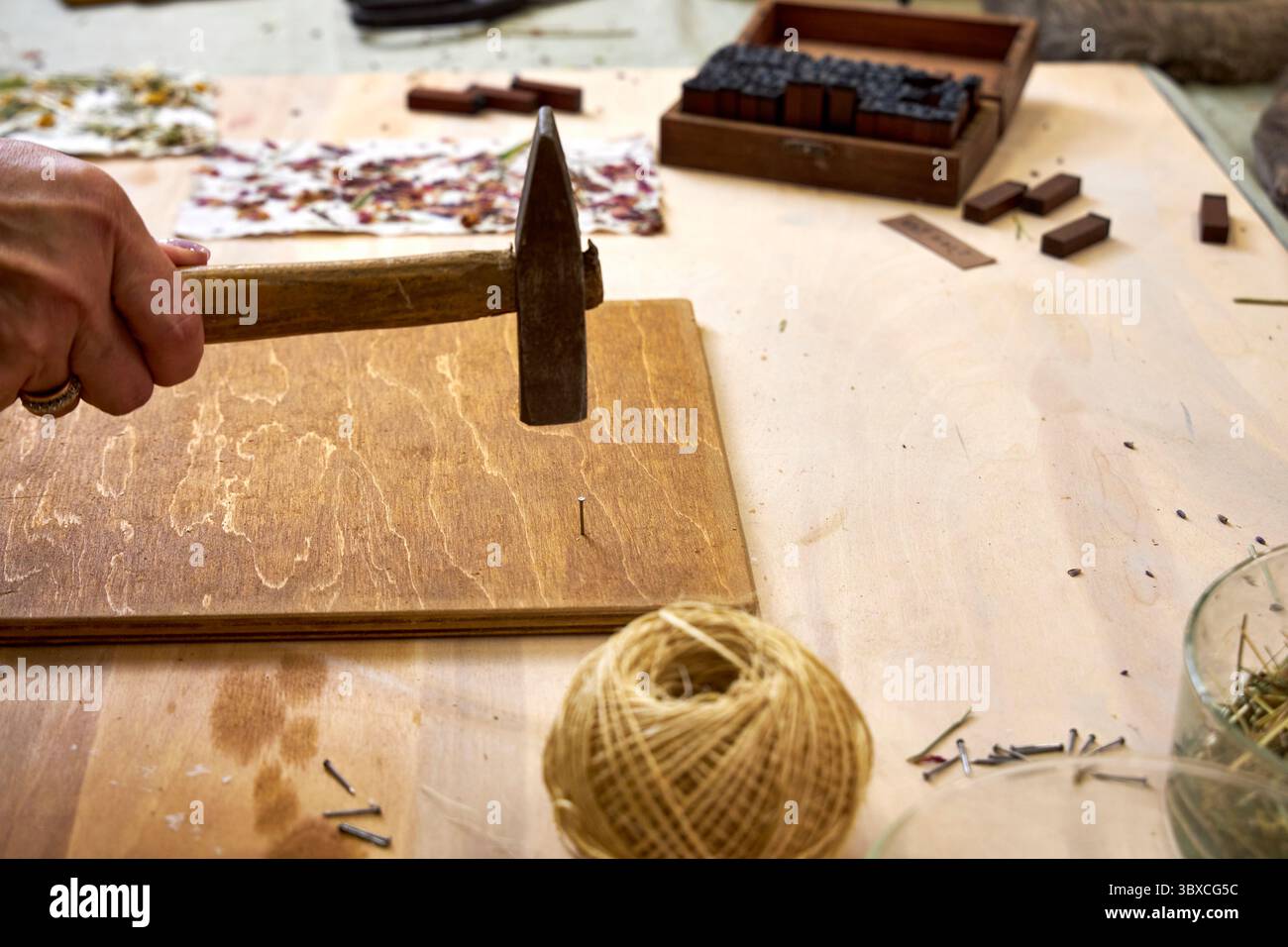 Nahaufnahme einer Frau, die Nägel in ein gebeiztes Holzbrett hämmert, für handgefertigte Dekorationen. Teil eines umweltfreundlichen DIY-Wandpaneelprojekts mit Naturpapier und Ma Stockfoto