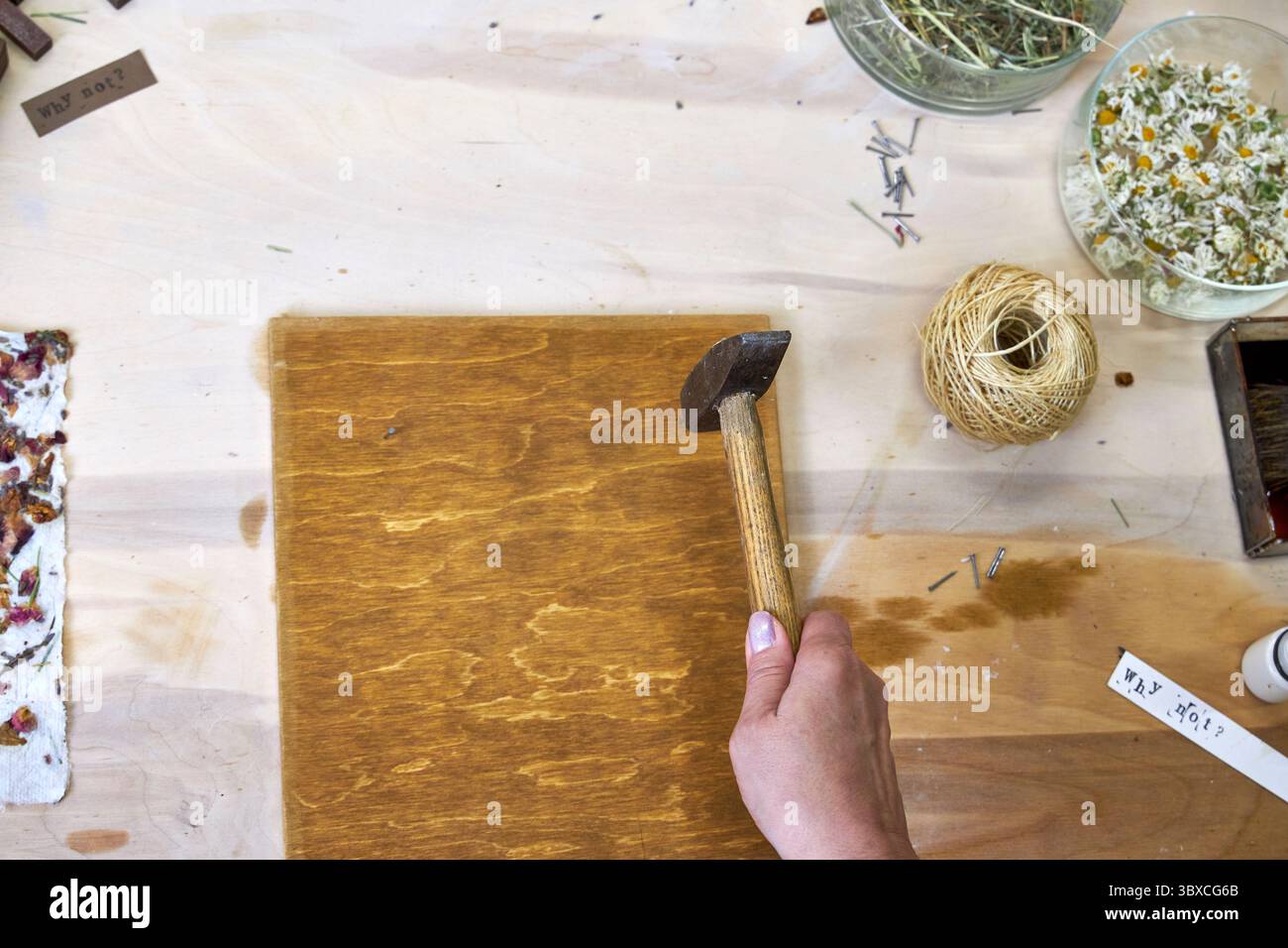 Nahaufnahme einer Frau, die Nägel in ein gebeiztes Holzbrett hämmert, für handgefertigte Dekorationen. Teil eines umweltfreundlichen DIY-Wandpaneelprojekts mit Naturpapier und Ma Stockfoto