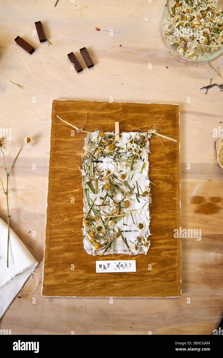 Endergebnis: Handgefertigtes Blumenpapier auf gebeizter Holzplatte, umgeben von Werkzeugen und Materialien. Umweltfreundliches und rustikales Wanddekor mit mir Stockfoto