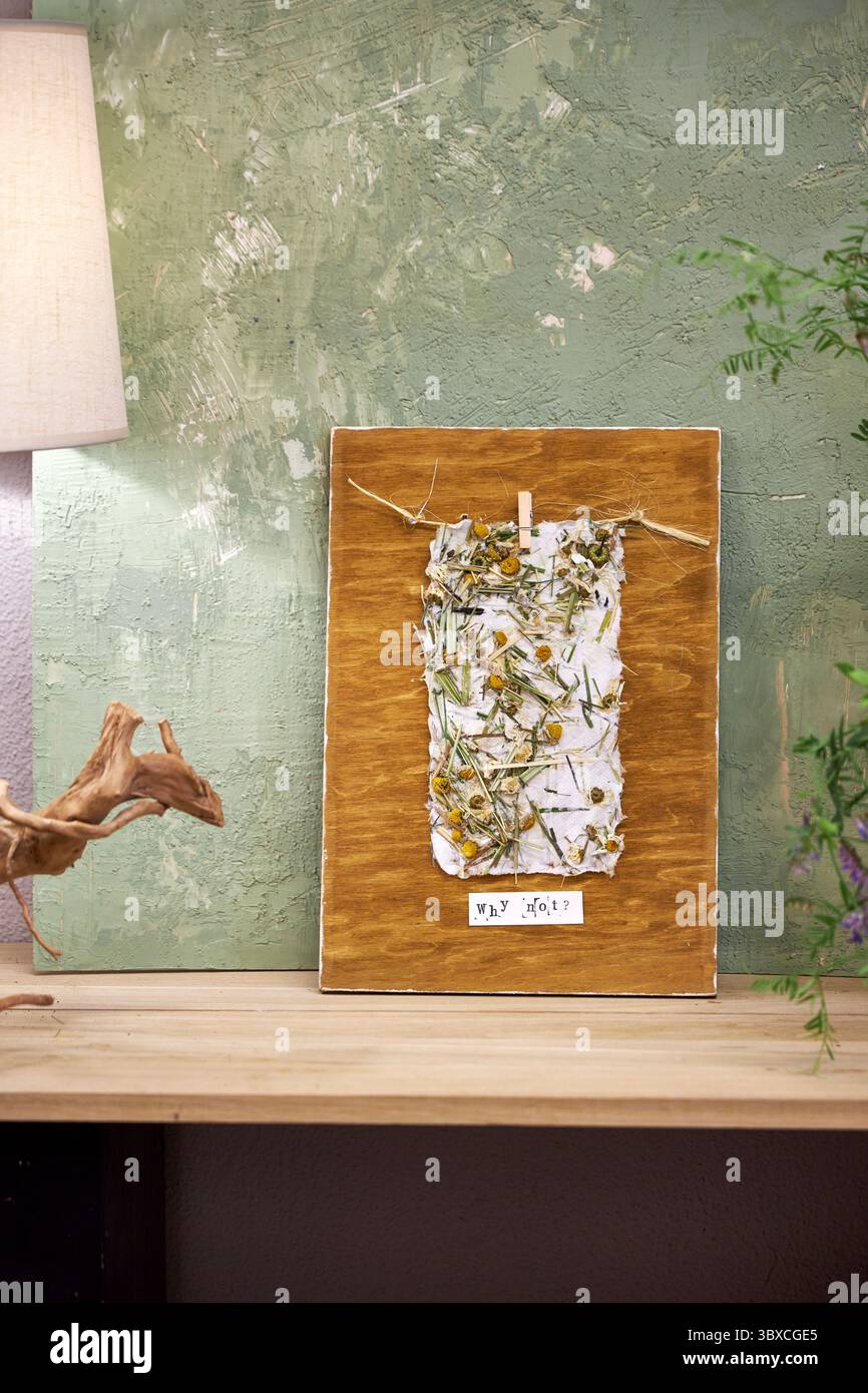 Wanddekor in natürlicher Umgebung. Handgefertigtes Blumenpapier auf gebeiztem Holzbrett mit „Warum nicht?“ Zitat. Umweltfreundlich, rustikal und inspira Stockfoto