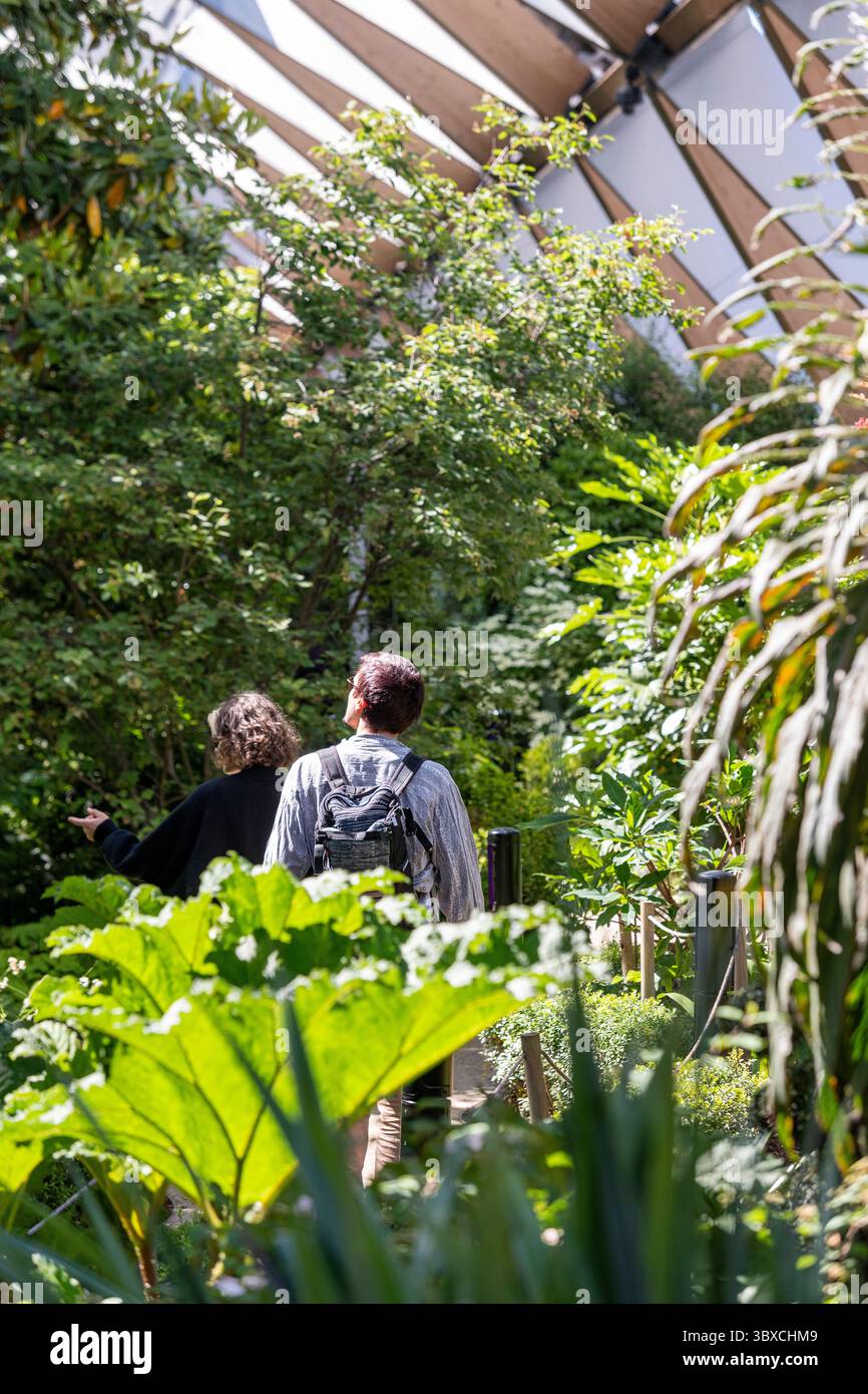 Ein Paar spaziert durch den Crossrail Place Roof Garden, Canary Wharf, London – üppiges Grün und Glasdach schaffen eine tropische Oase im Herzen der insel Stockfoto