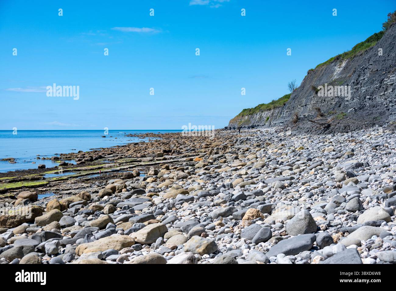 Fossil Beach, Lyme Regis, Dorset, England Stockfoto