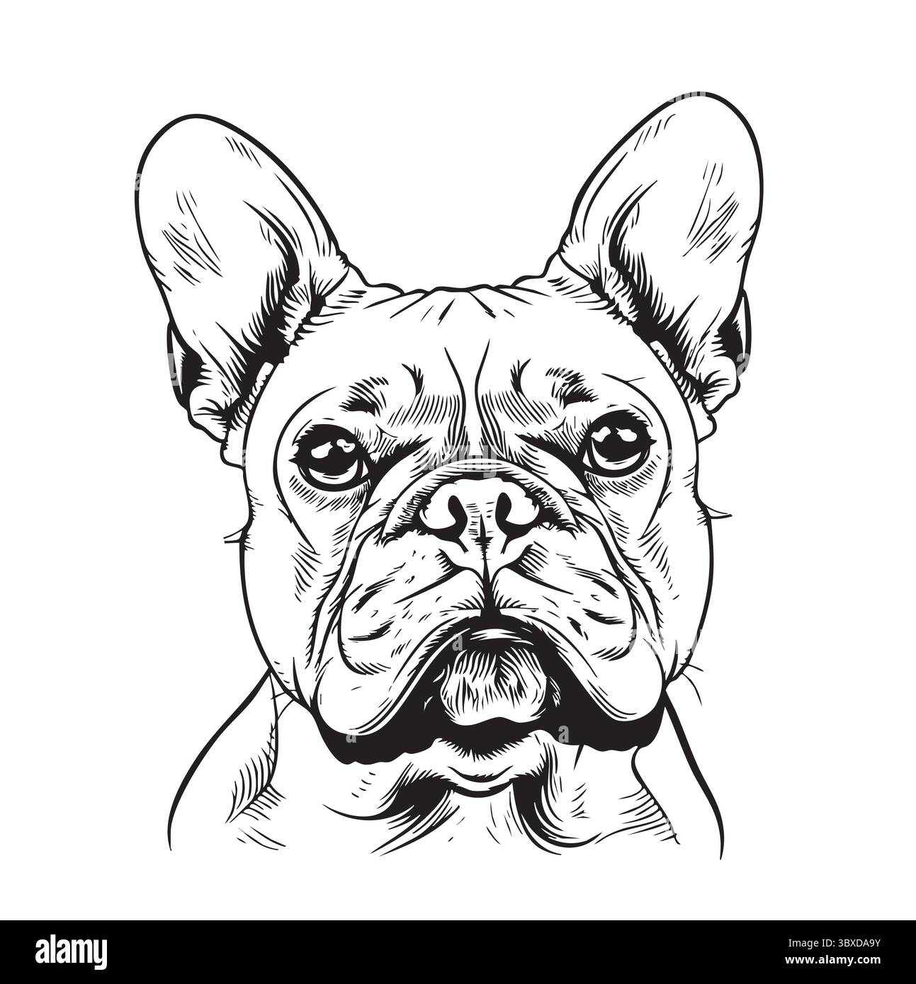 Französischer Bulldogenkopf. Abbildung des Hundegesichts Stock Vektor