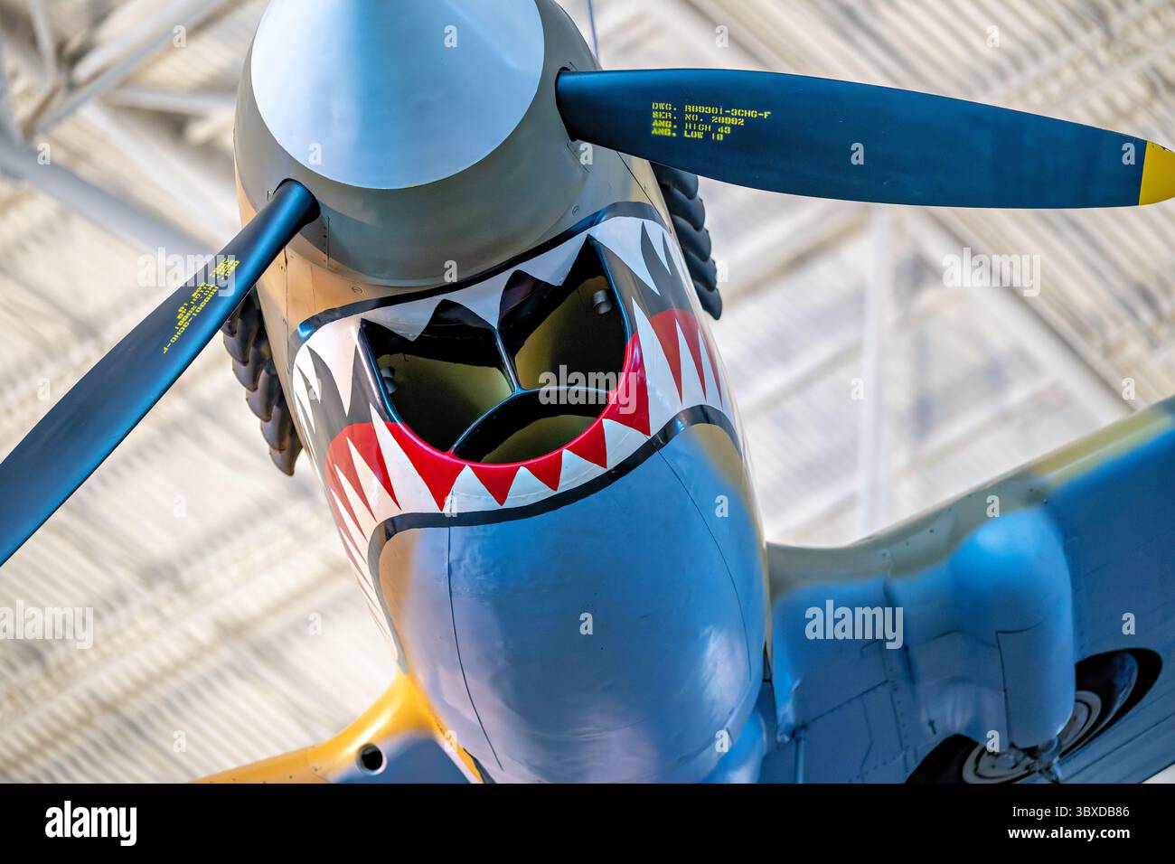 CHANTILLY, Virginia — das Curtiss P-40E Warhawk Kampfflugzeug zeigt die unverwechselbare Haifischschnasen-Kunst, die mit den Flying Tigers im Boeing Aviation Hangar im Steven F. Udvar-Hazy Center assoziiert ist. Dieses einmotorige, einsitzige Jagdflugzeug erwies sich in der ersten Hälfte des Zweiten Weltkriegs als vielseitig und diente in verschiedenen Theatern, darunter in China, wo General Claire Chennault's American Volunteer Group gegen japanische Streitkräfte flog. Curtiss-Wright baute dieses Flugzeug als Modell 87-A3 und lieferte es 1941 als Kittyhawk I nach Kanada, wo es mit der No. 111 Squadron der Roya diente Stockfoto