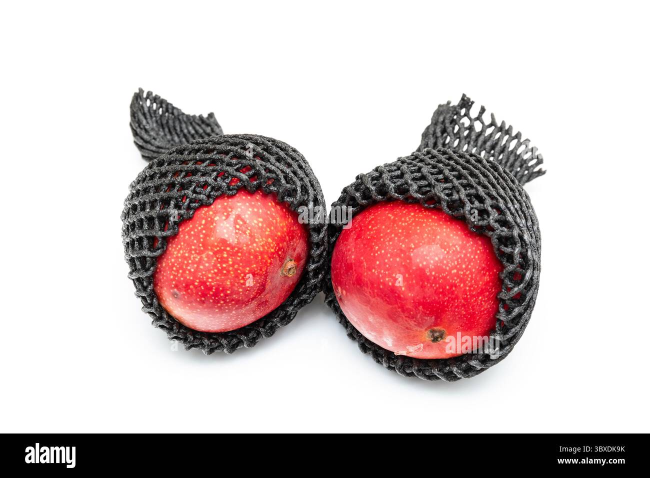 Peruanische Kent Mango isoliert auf weißem Atelierhintergrund. Stockfoto