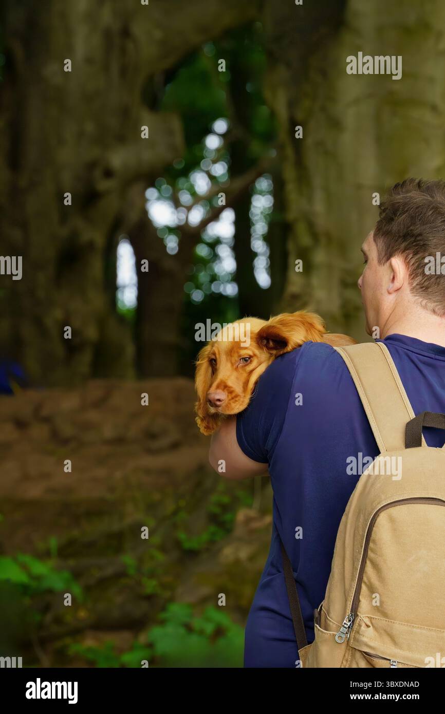 Ein junger Mann trägt einen goldbraunen Cocker Spaniel Welpen auf seiner Schulter, während er durch einen Wald wandert. Stockfoto