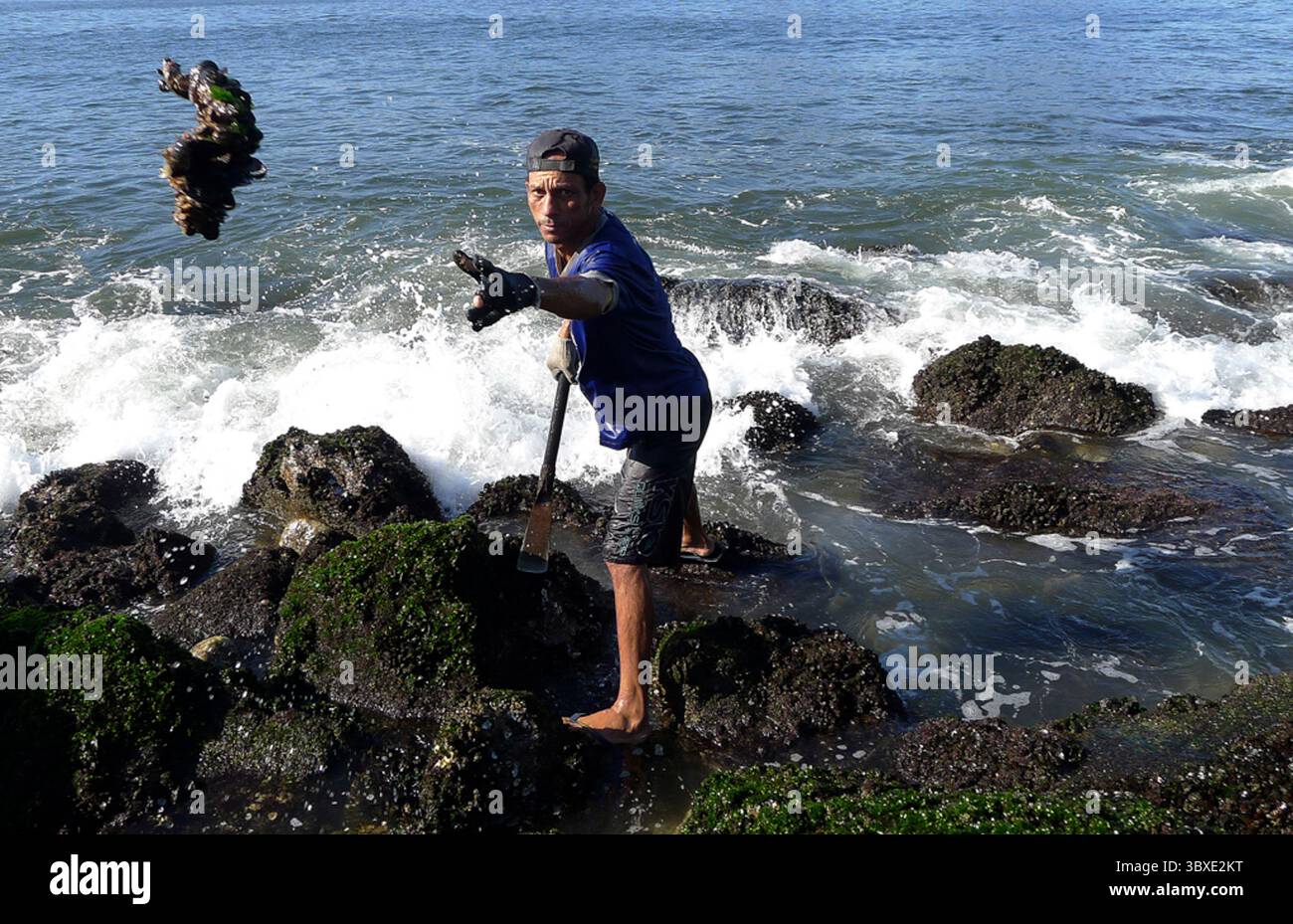 15. Oktober 2021, Rio de Janeiro, Rio de Janeiro, Brasilien: RIO DE JANEIRO, BRASILIEN â€“ 16. OKTOBER 2021, Rio de Janeiro, Rio de Janeiro Diskriminierung und Arbeit in verschmutztem Wasser: das Leben der Muschelsammler in Rio de Janeiro kämpfen Muschelfischer gegen die Verschmutzung der Guanabara Bay, inmitten der Corona-Virus-Covid19-Pandemie, die mehr als 602.000 Menschen tötete, sie versuchen zu überleben, Hunger, Armut und Arbeitslosigkeit im Land haben zugenommen, einige sind wegen Covid19 gestorben, Muschelpflücker arbeiten in Höhlen und tauchen mit Styroporschaum an ihren Füßen gebunden. Am Ufer sind sie c Stockfoto