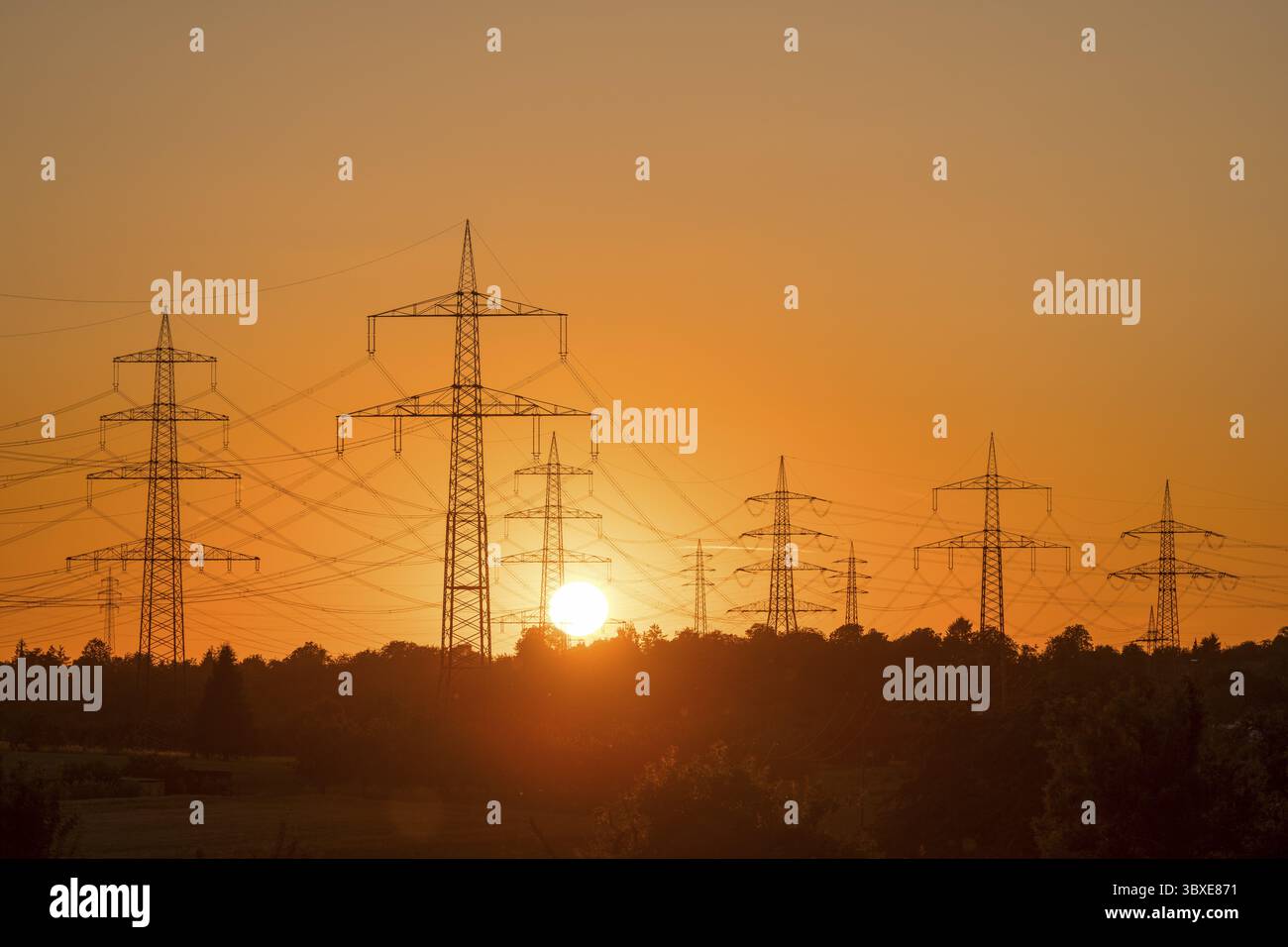 Klar definierte Silhouetten von Stromleitungen im goldenen Licht des Sonnenuntergangs, Waiblingen, Baden-Württemberg, Deutschland Stockfoto