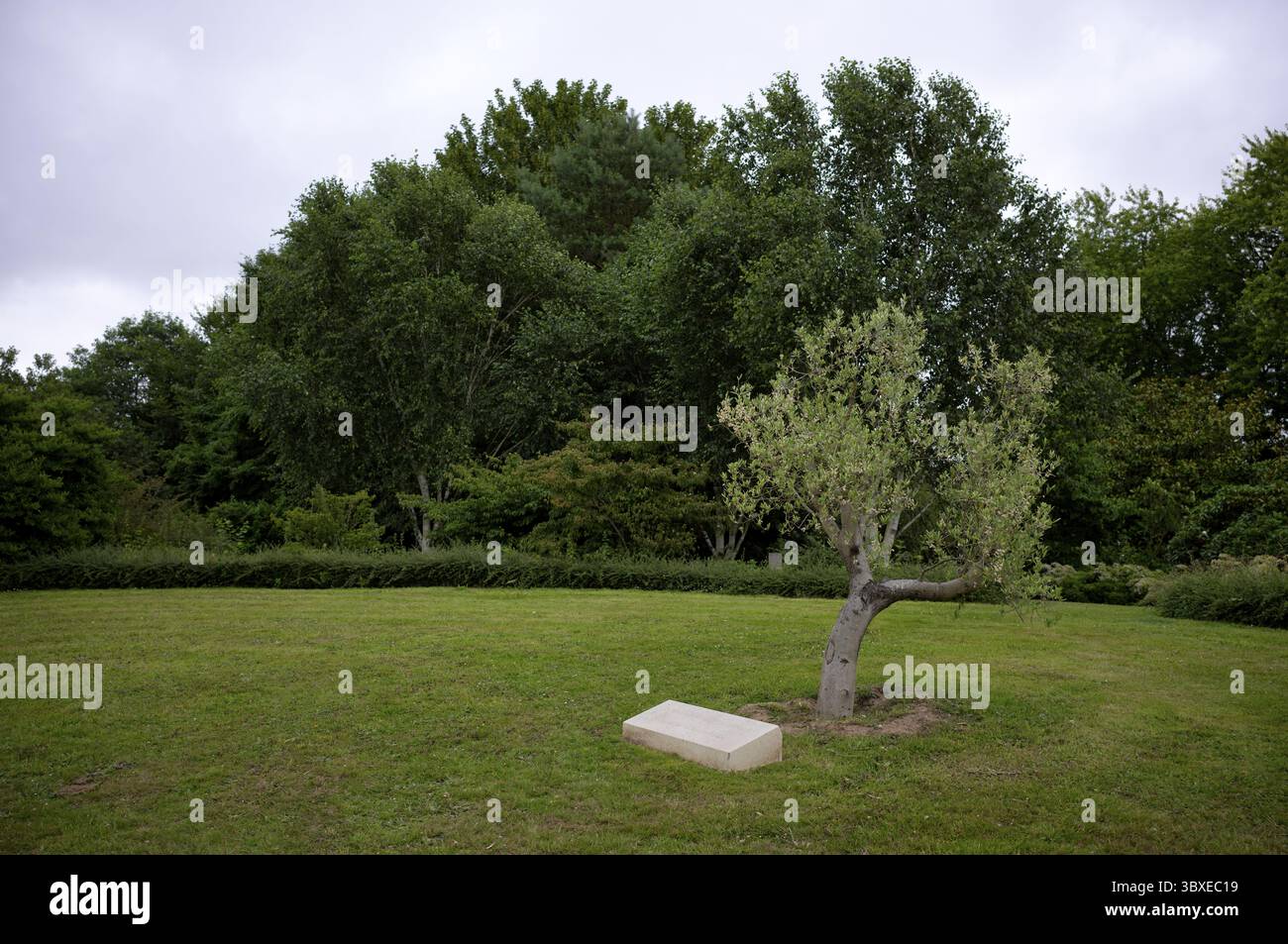 Separater Gedenkstein für die Journalisten in Gaza, im Gazastreifen, Memorial des Reporters, Mahnmal für die Pressefreiheit, Mahnmal für Journalisten a Stockfoto