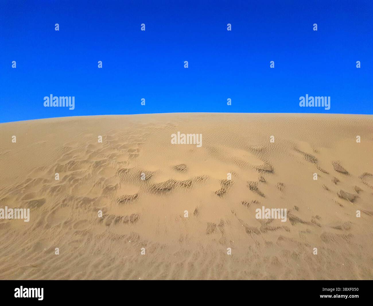 Sanddüne mit stahlblauem Himmel im Hintergrund Stockfoto