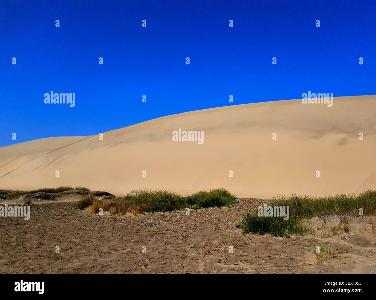 Sanddüne mit stahlblauem Himmel im Hintergrund Stockfoto