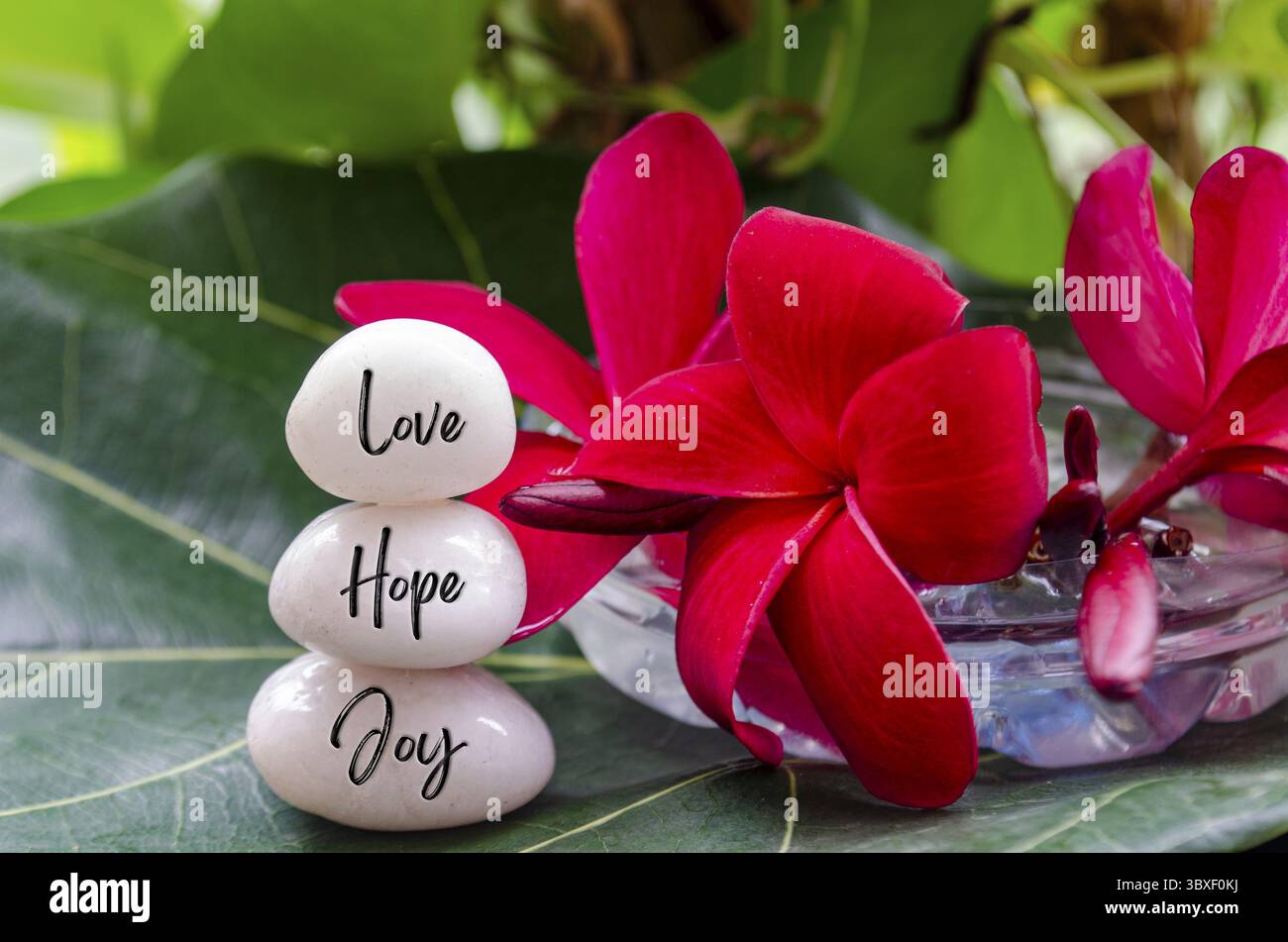 Love, Hope and Joy Text auf weißen Zen Steinen mit Zen Blumen und Blatt Hintergrund Stockfoto