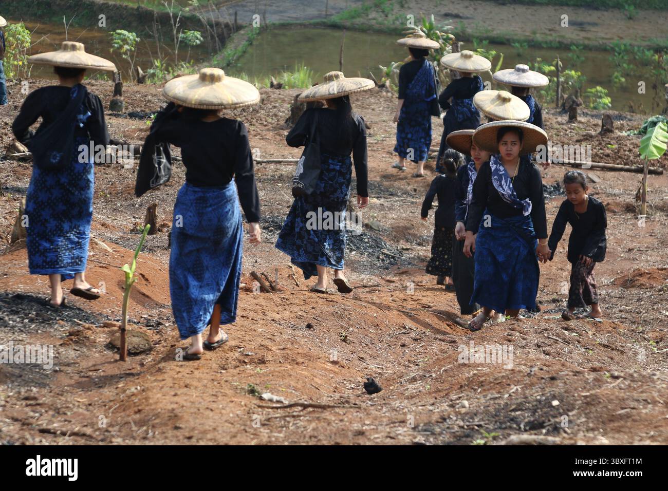 7. Oktober 2021, Banten, Banten, Indonesien: Der Stamm der Indonesien Baduy pflanzt am 23. Oktober 2021 Huma-Reis auf einem Feld im Dorf Ciboleger in Banten an. Baduy Bauerngemeinde in die Saison der Landwirtschaft einzusteigen der Huma Reisgarten nach dem traditionellen Kalender ist ein guter Tag, um Felder zu öffnen und Reis zu Pflanzen und auch Schädlingsbefall zu vermeiden. Der Huma-Reisanbauprozess beginnt mit Ritualen, in denen Gebete von den Ältesten des Baduy-Stammes gelesen werden, nachdem das Pflanzen abgeschlossen ist. Beginnend mit den Männern, die Holz benutzen, um Löcher zu machen, gefolgt von den Frauen, die Reissamen in die Löcher legen und sie dann mit t bedecken Stockfoto
