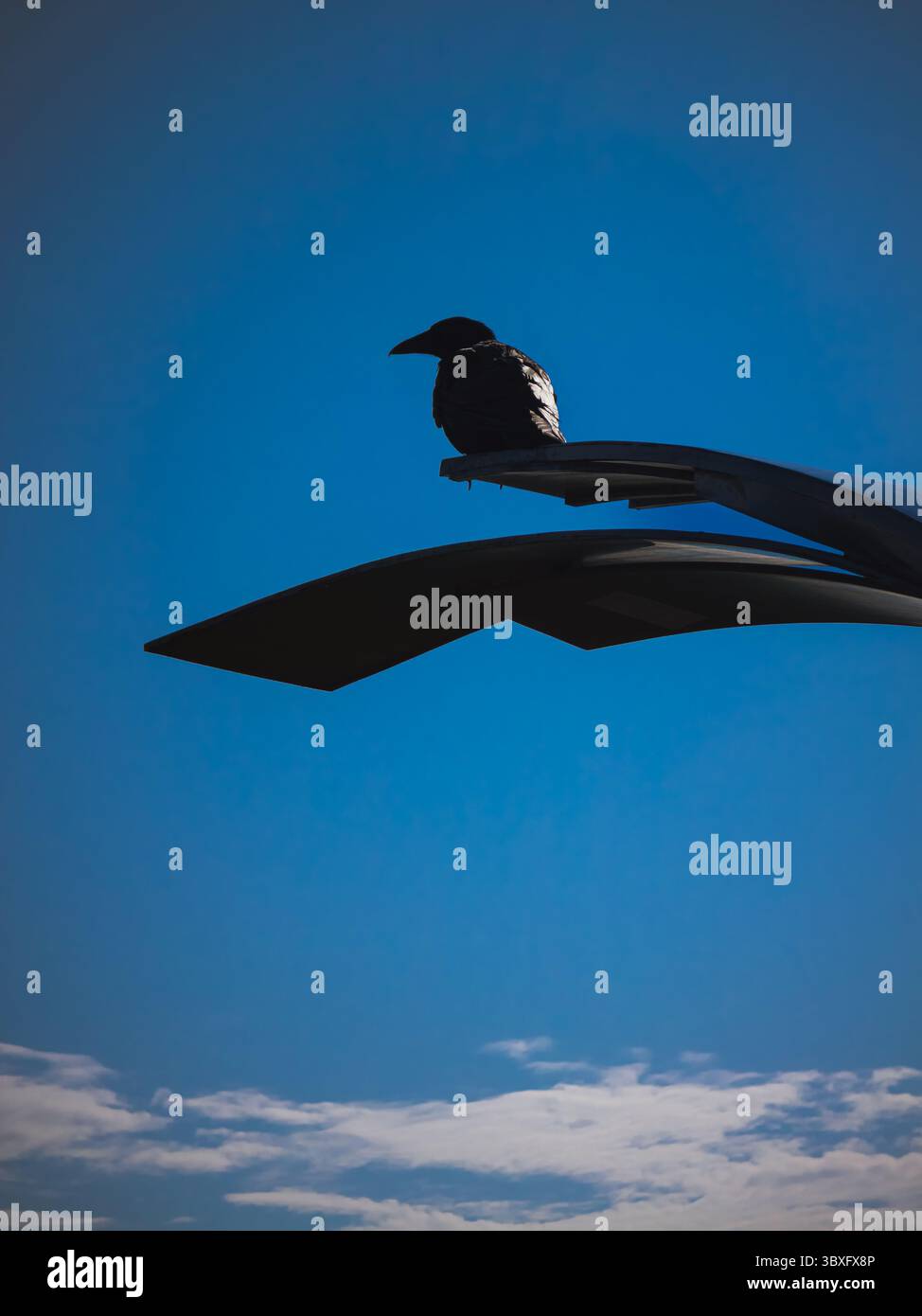 Silhouette einer Krähe auf moderner Architektur vor blauem Himmel, Stockfoto